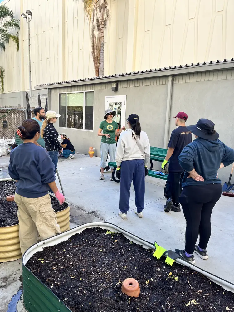 A garden leader talks with a group of volunteers beside the raised beds