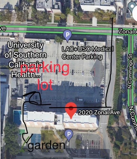 Aerial map of LA General Medical Center. The free parking lot sits on Zonal Ave, and a drawn path leads from the lot down the side of the 2020 Zonal Ave building to the garden.